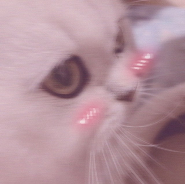 桃乃 あい